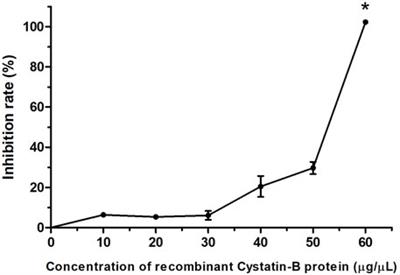 Heterologous Production and Evaluation of the Biological Activity of Cystatin-B From the Red Piranha Pygocentrus nattereri